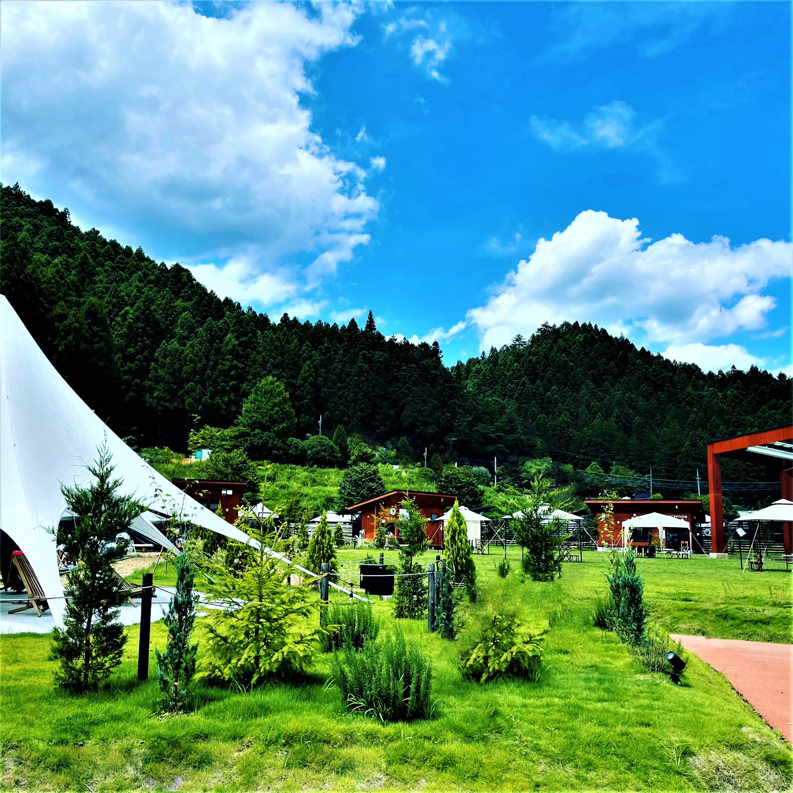 ノーラ名栗
