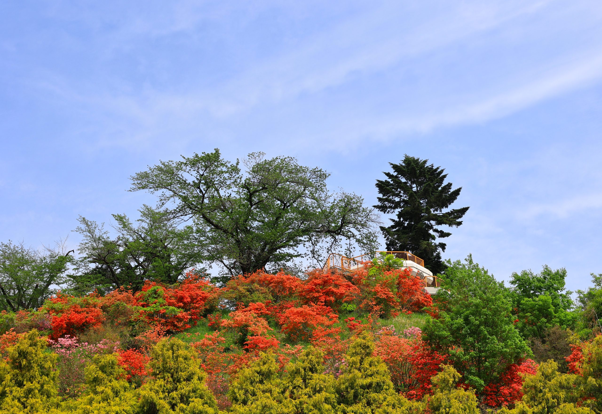 おしゃもじ山公園