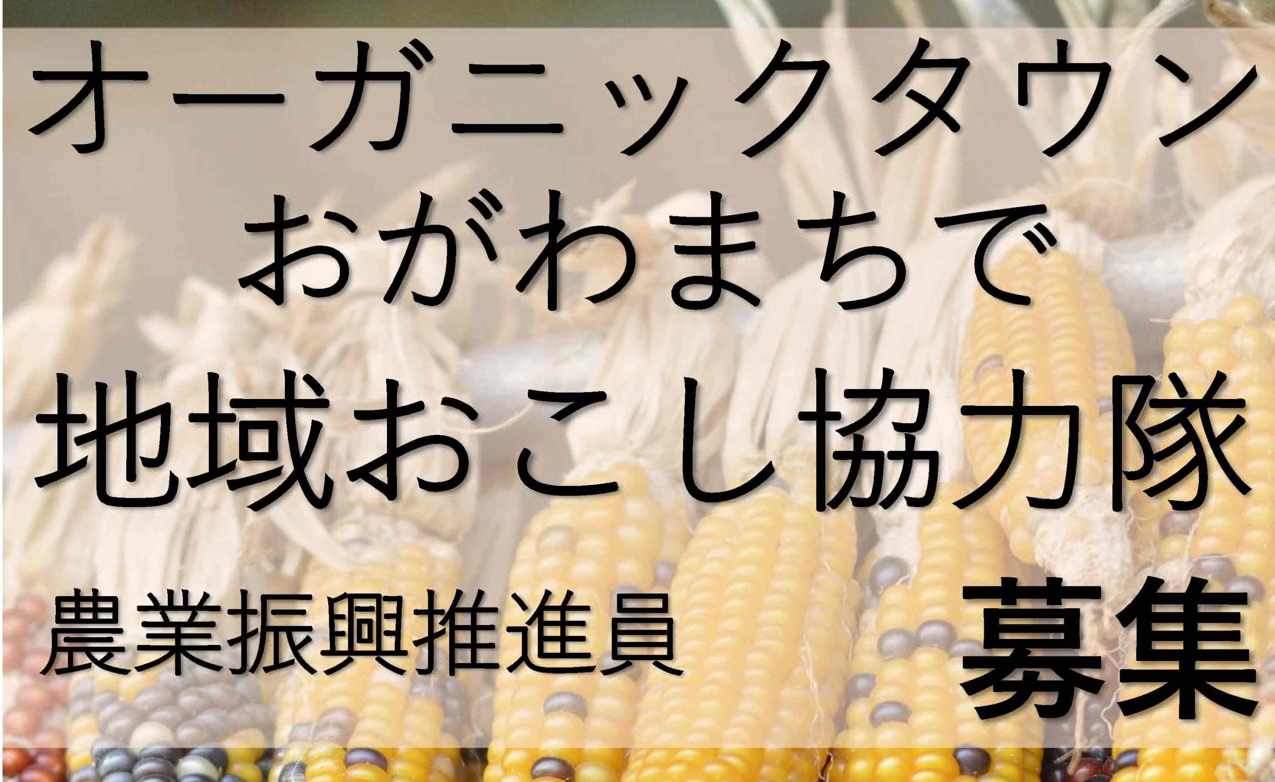 地域おこし協力隊募集！(3)農業振興推進員：1名募集